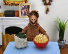 Alf - Ultimate Alf 7″ Scale Action Figure - NECA Online Sale