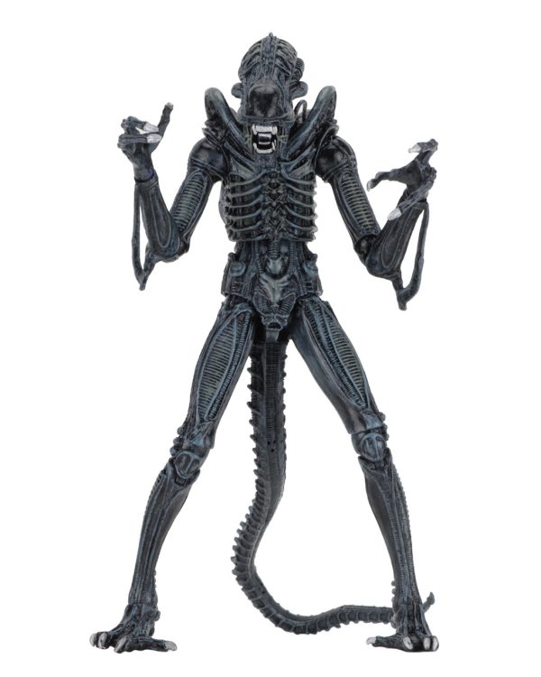 Aliens Ultimate Alien Warrior (1986) Blue Alien 7″ Scale Action Figures - NECA on Sale