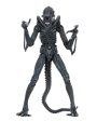 Aliens Ultimate Alien Warrior (1986) Blue Alien 7″ Scale Action Figures - NECA on Sale