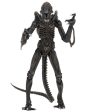 Aliens Ultimate Alien Warrior (1986) Set of 2 Blue & Brown Alien 7″ Scale Action Figures - NECA Online