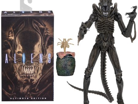 Aliens Ultimate Alien Warrior (1986) Brown Alien 7″ Scale Action Figures - NECA Online now