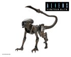 Aliens: Fireteam Elite (Set of 2) Prowler & Runner Alien 7″ Scale Action Figures - NECA Cheap