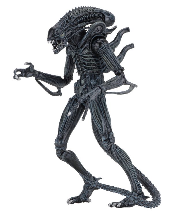 Aliens Ultimate Alien Warrior (1986) Blue Alien 7″ Scale Action Figures - NECA on Sale