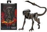 Aliens: Fireteam Elite Runner Alien 7″ Scale Action Figures - NECA Online Sale