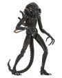 Aliens Ultimate Alien Warrior (1986) Brown Alien 7″ Scale Action Figures - NECA Online now