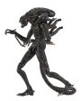 Aliens Ultimate Alien Warrior (1986) Brown Alien 7″ Scale Action Figures - NECA Online now