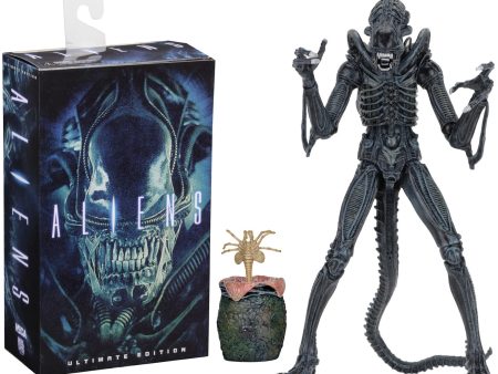 Aliens Ultimate Alien Warrior (1986) Blue Alien 7″ Scale Action Figures - NECA on Sale