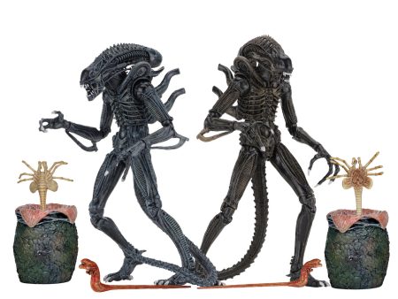 Aliens Ultimate Alien Warrior (1986) Set of 2 Blue & Brown Alien 7″ Scale Action Figures - NECA Online