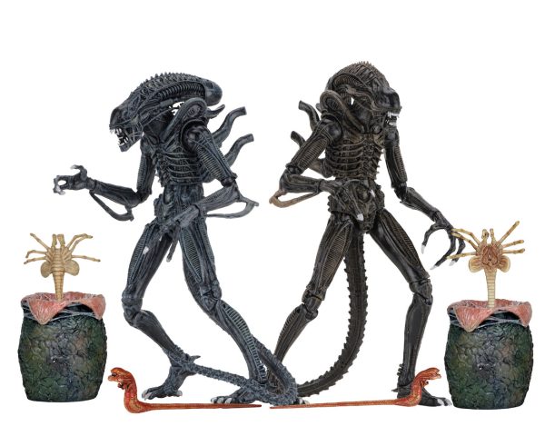 Aliens Ultimate Alien Warrior (1986) Set of 2 Blue & Brown Alien 7″ Scale Action Figures - NECA Online